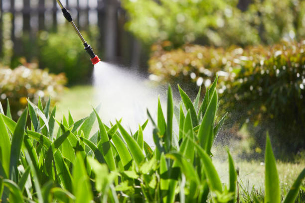 Tamper-Resistant Bait Stations for Rodents in Friendly