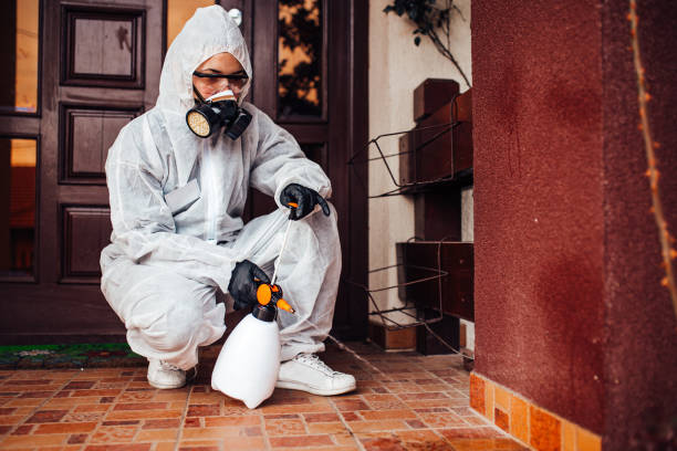 Attic and Crawl Space Rodent Treatment in Friendly