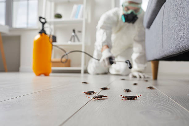 Commercial Rodent Management in Friendly
